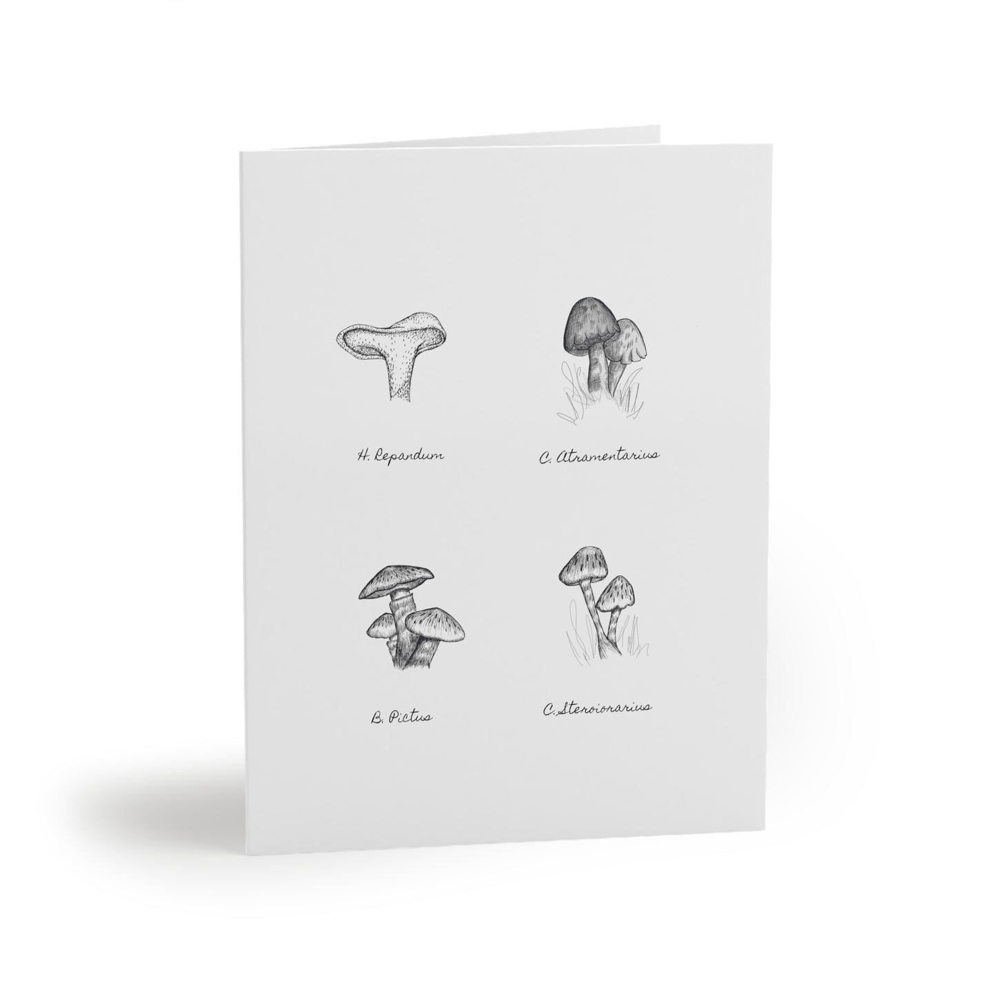 Mushroom Medley Greeting cards