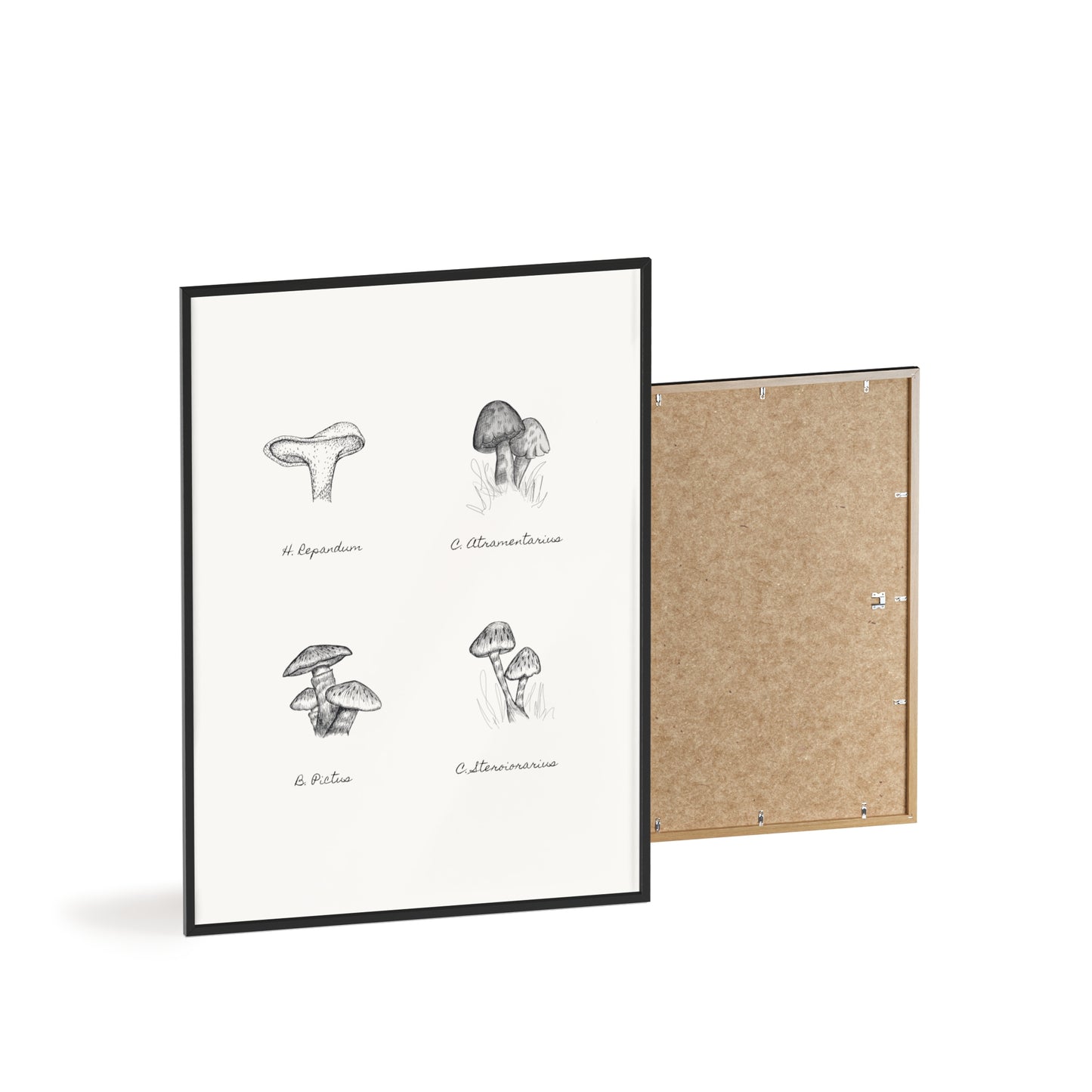 Mushroom Medley Poster with Wooden Frame