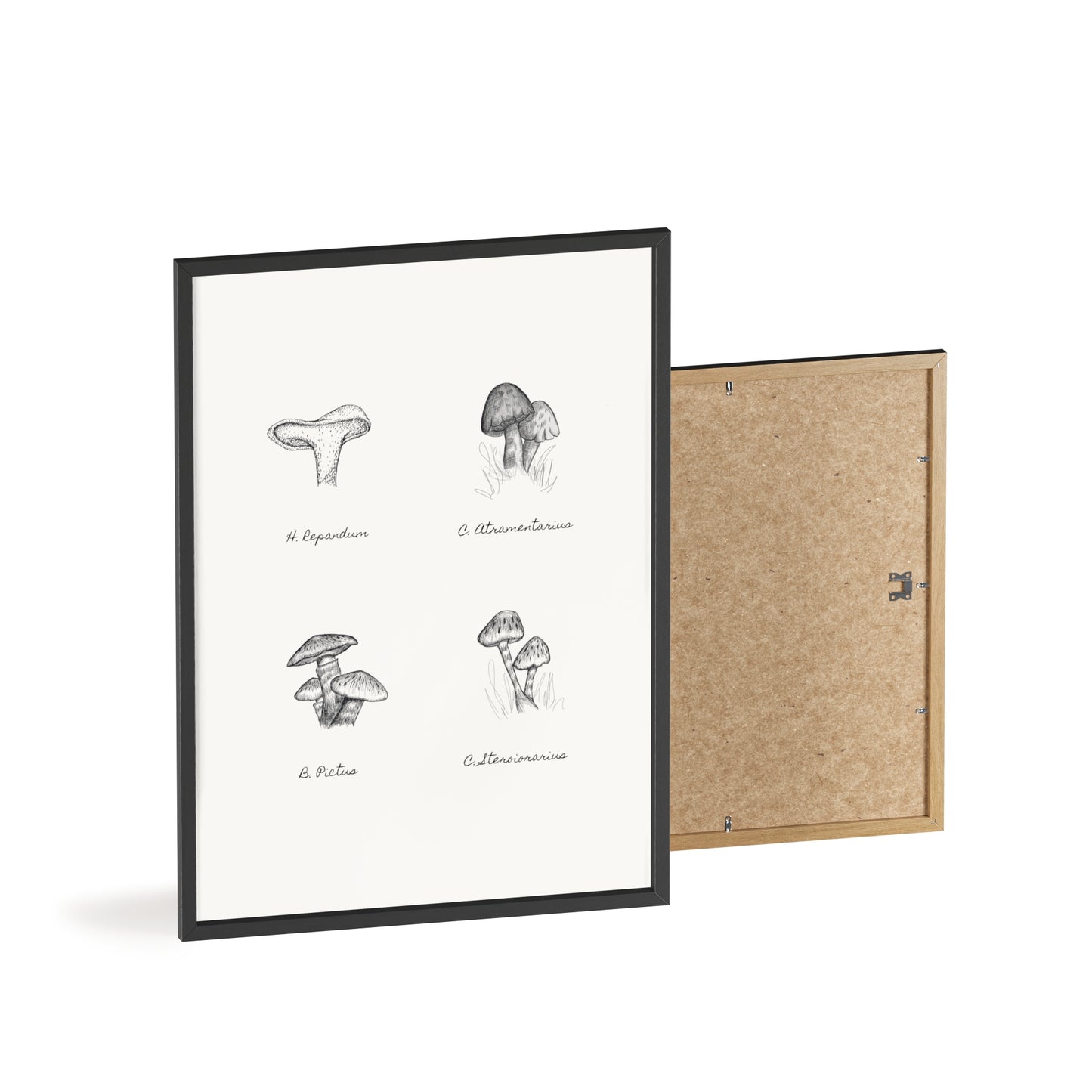 Mushroom Medley Poster with Wooden Frame