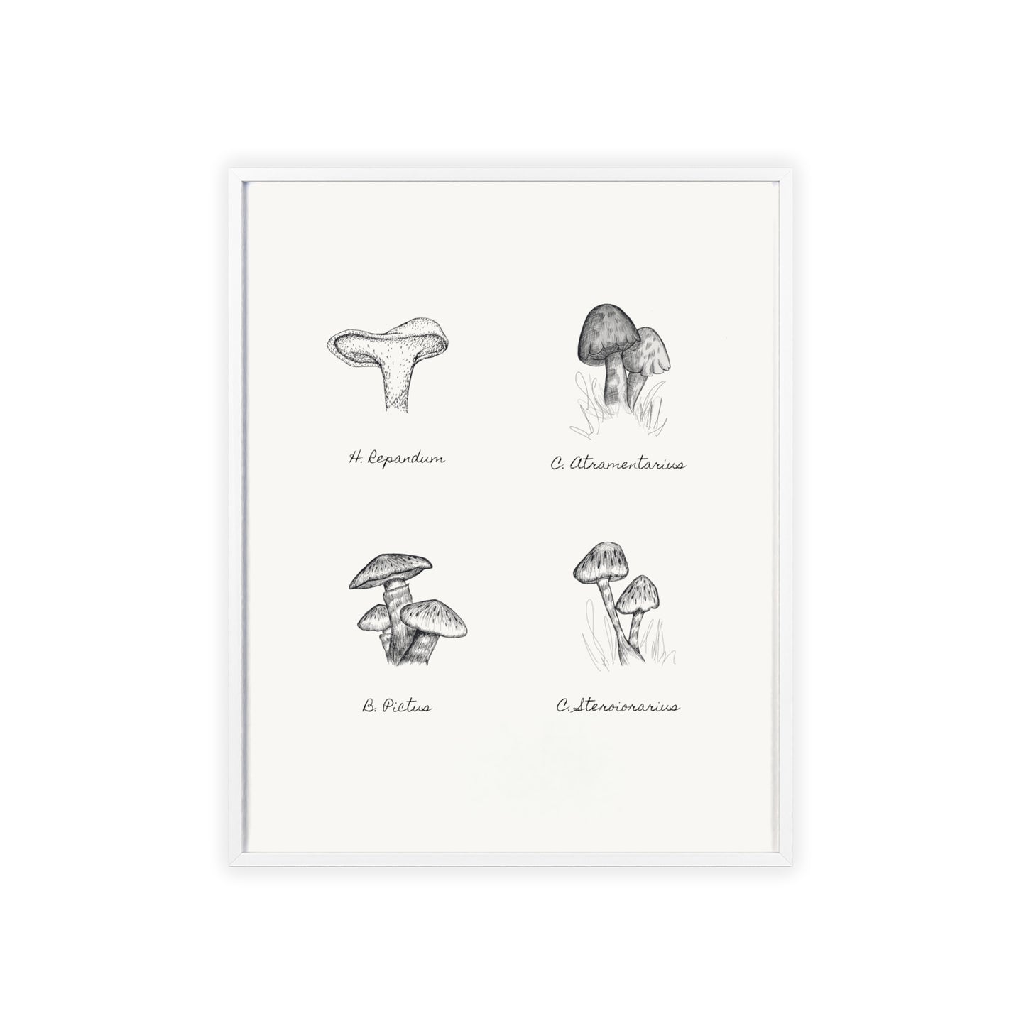 Mushroom Medley Poster with Wooden Frame