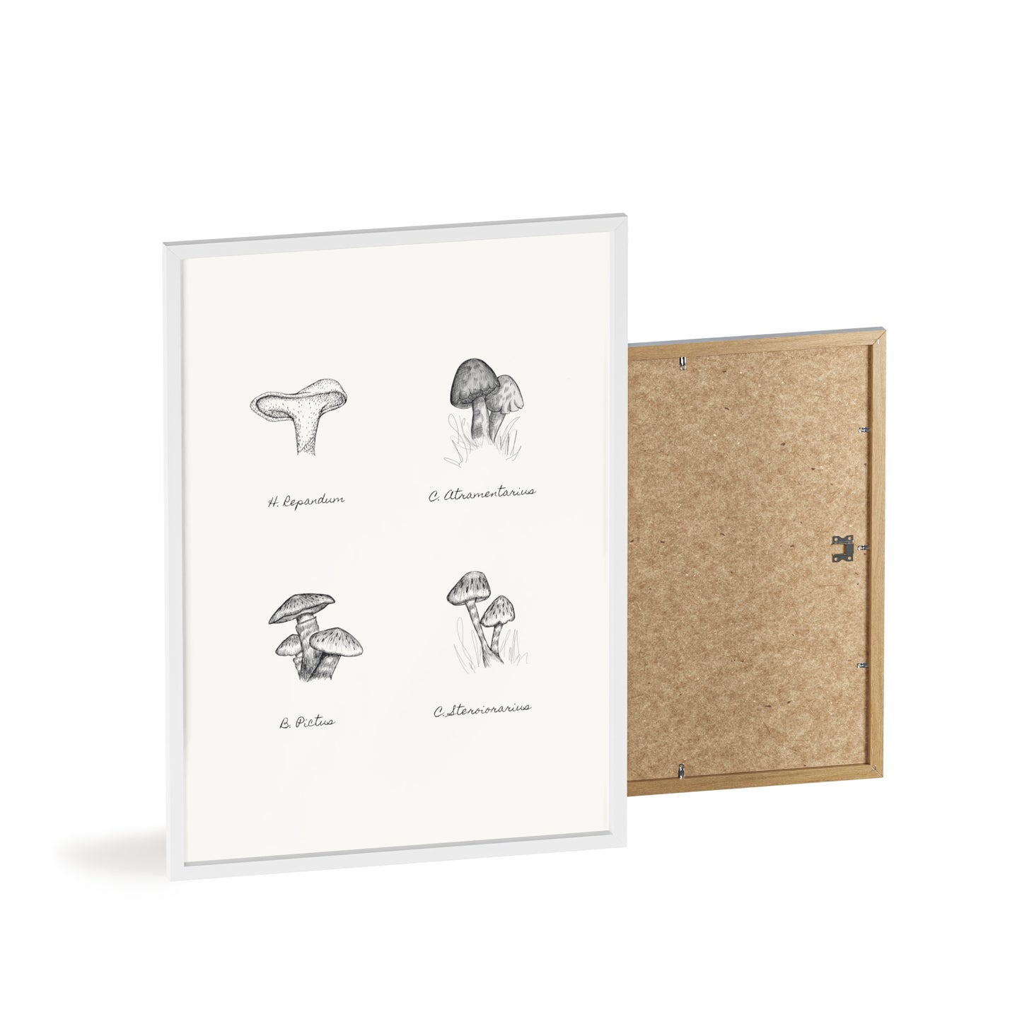 Mushroom Medley Poster with Wooden Frame