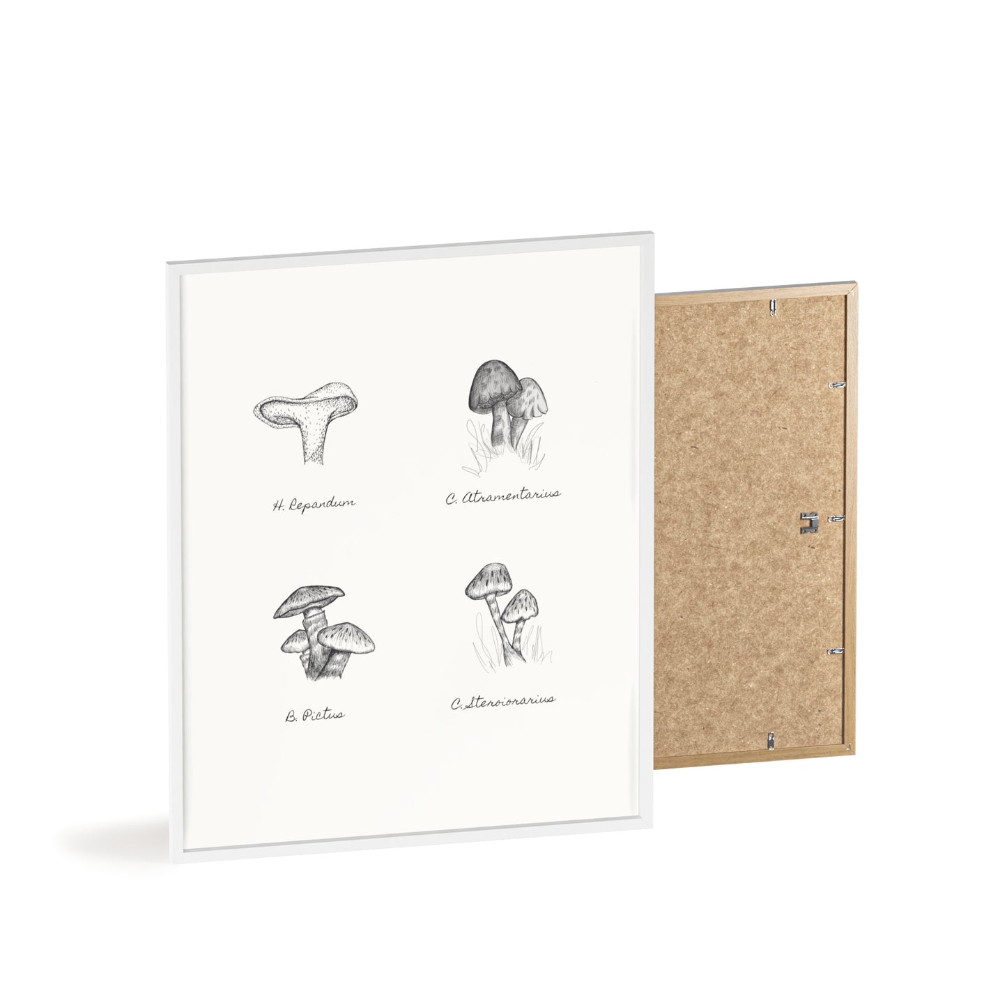 Mushroom Medley Poster with Wooden Frame