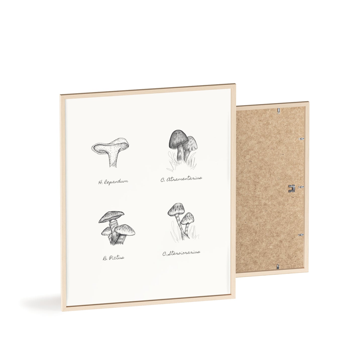 Mushroom Medley Poster with Wooden Frame