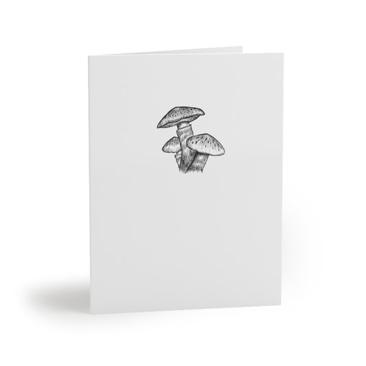 B.pictus Greeting cards