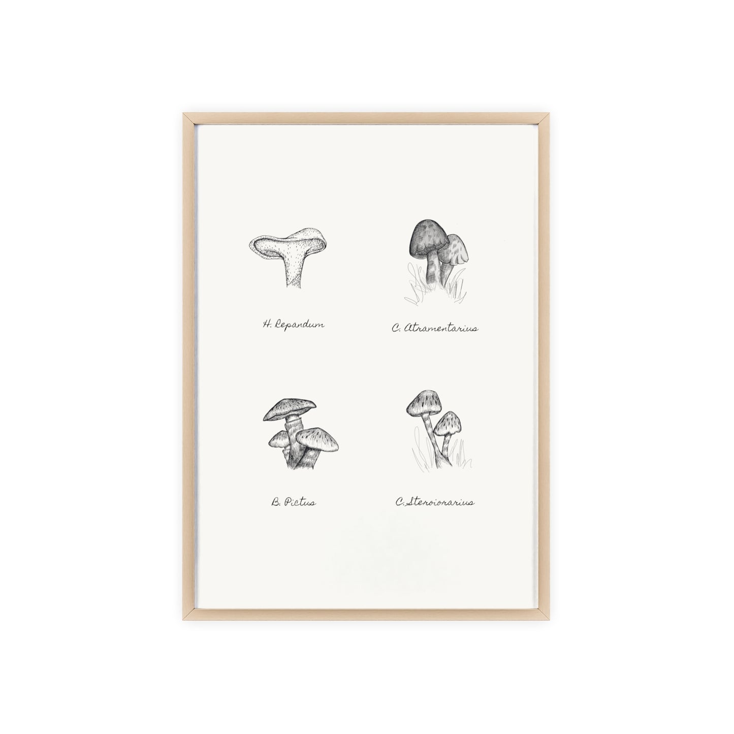 Mushroom Medley Poster with Wooden Frame