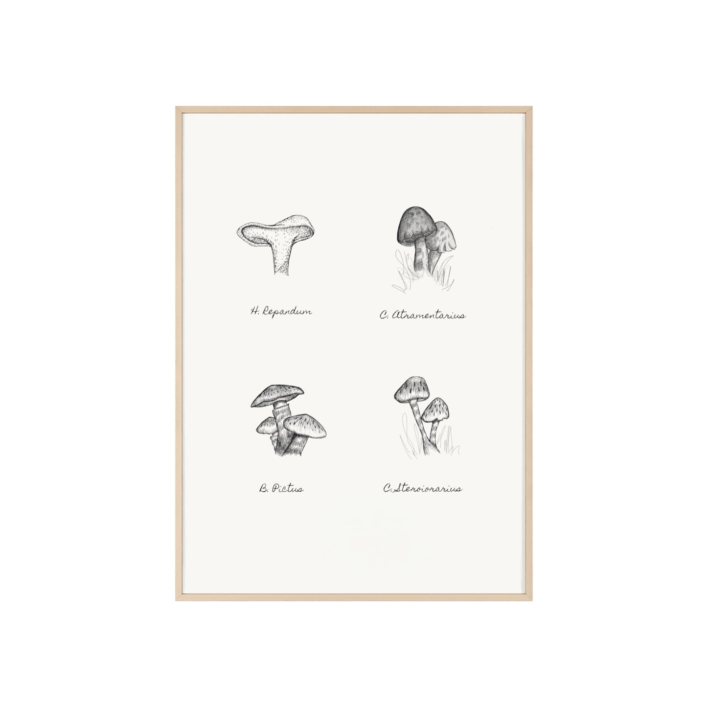 Mushroom Medley Poster with Wooden Frame