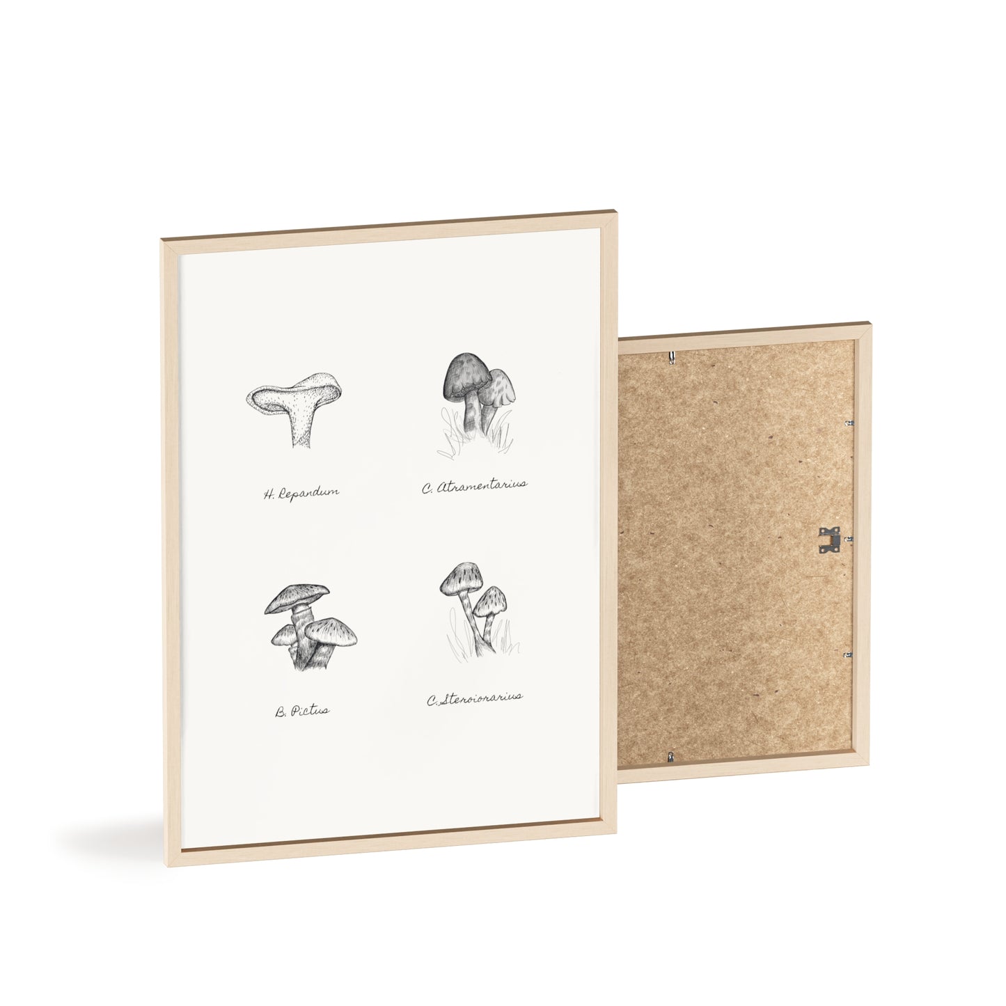 Mushroom Medley Poster with Wooden Frame