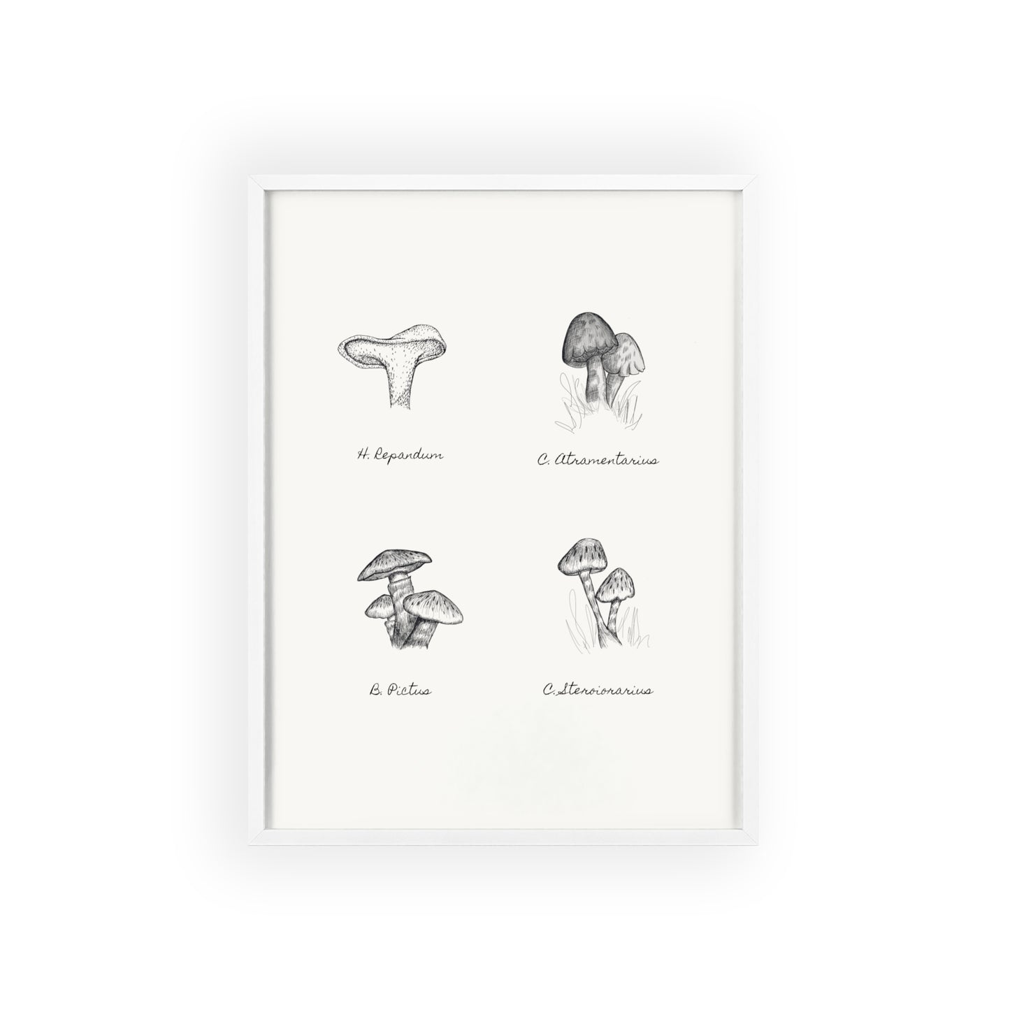 Mushroom Medley Poster with Wooden Frame