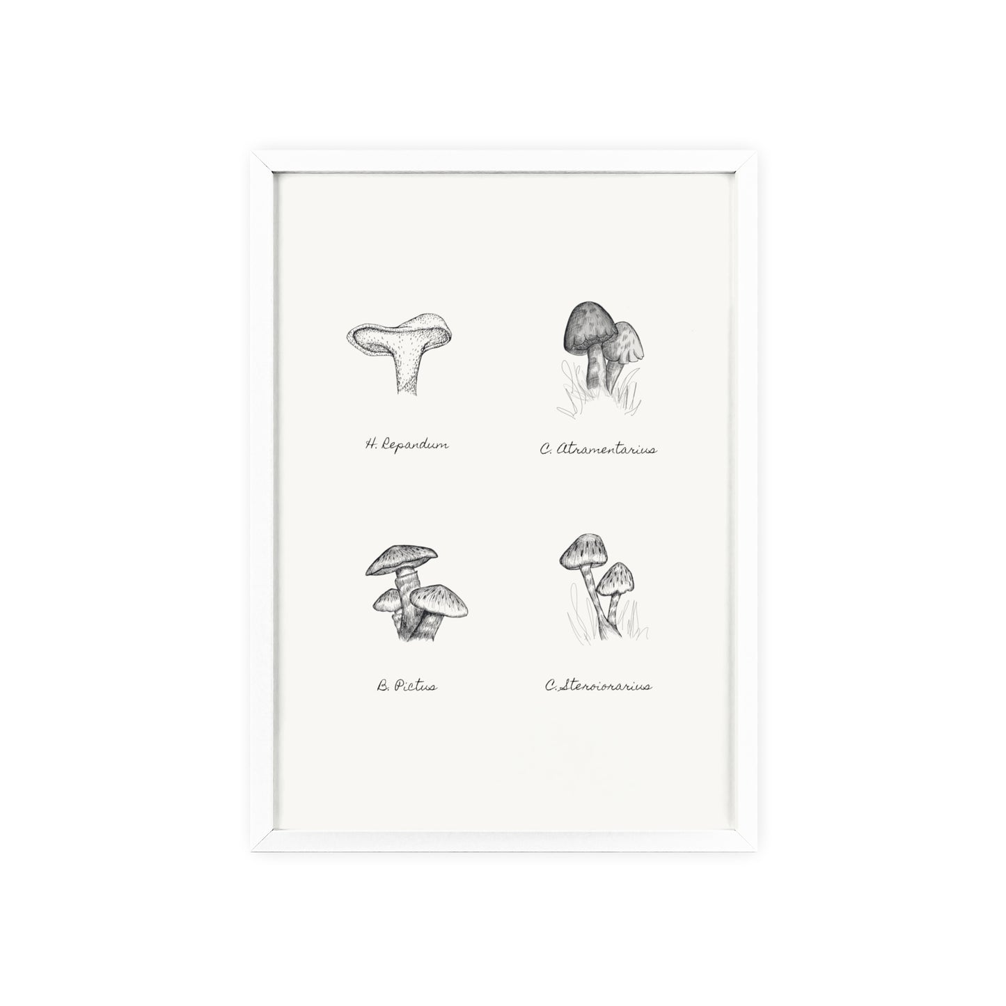 Mushroom Medley Poster with Wooden Frame