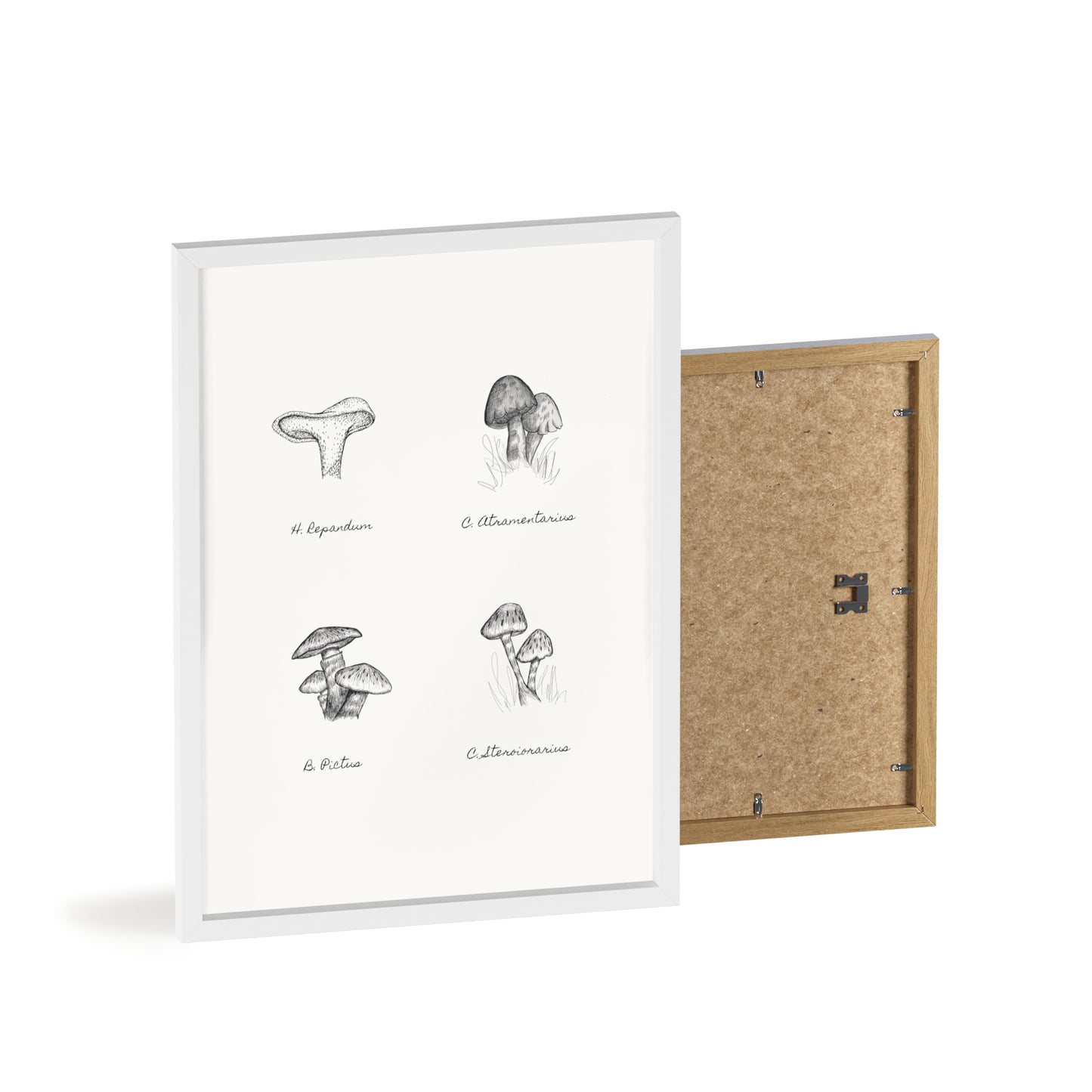 Mushroom Medley Poster with Wooden Frame