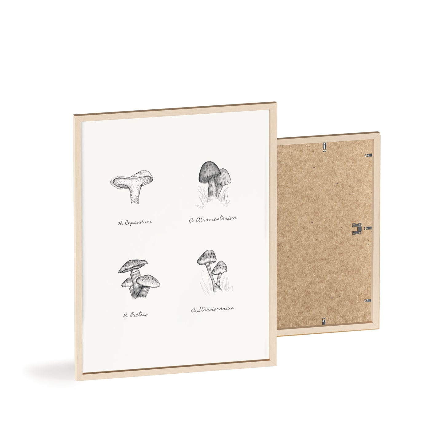 Mushroom Medley Poster with Wooden Frame