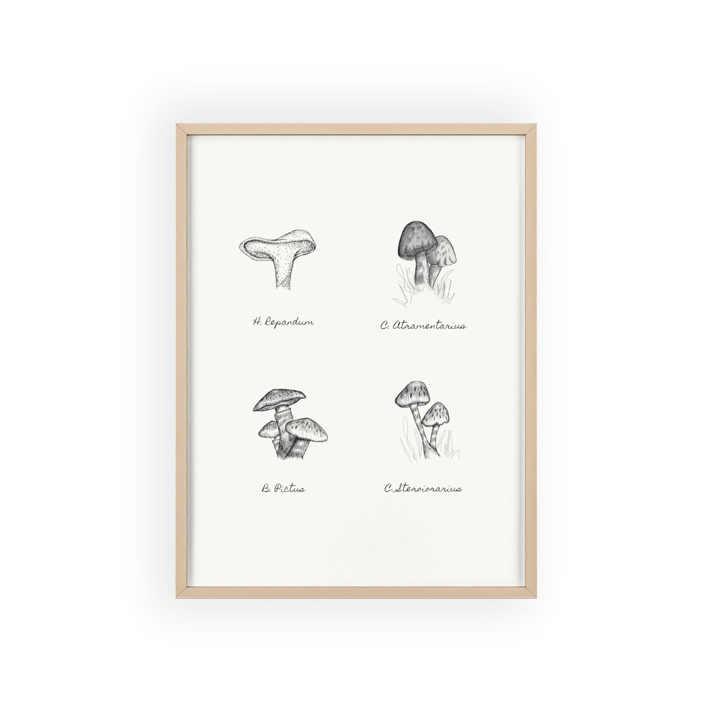 Mushroom Medley Poster with Wooden Frame