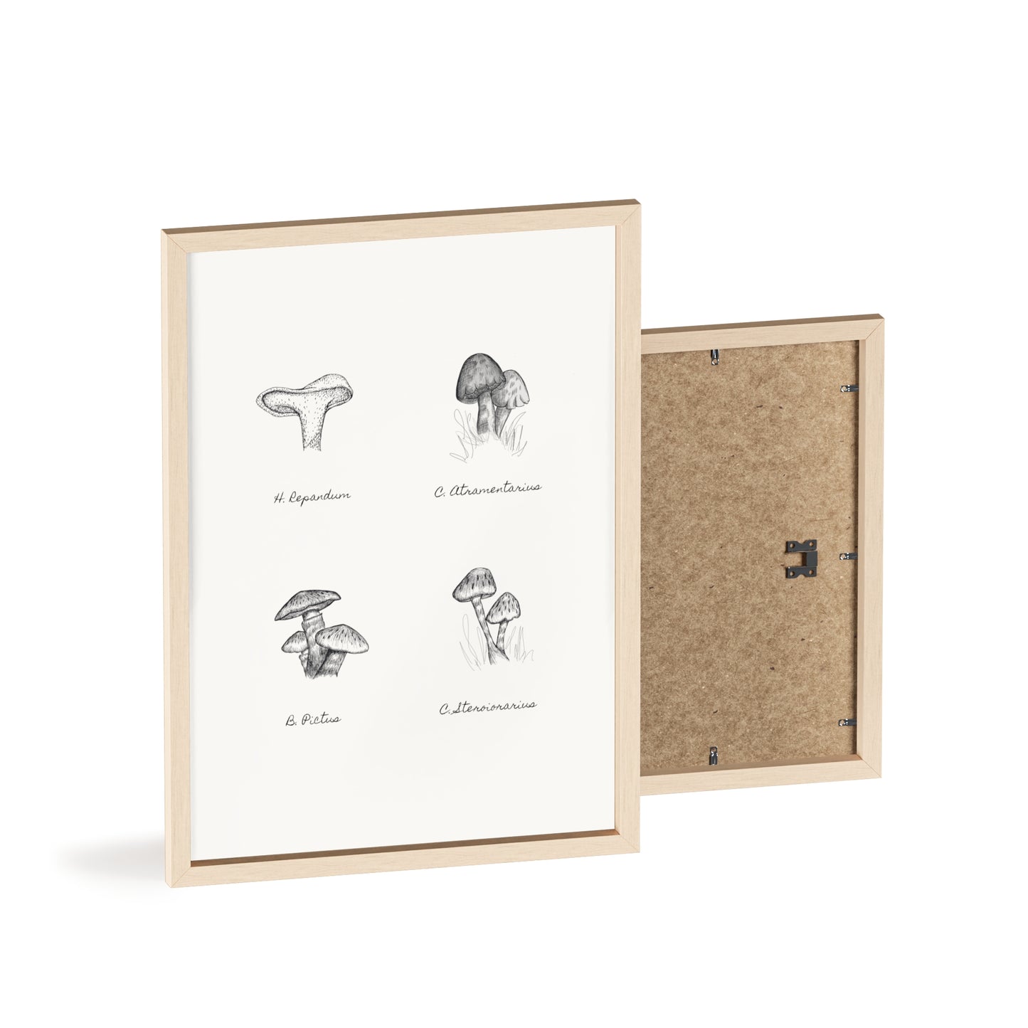 Mushroom Medley Poster with Wooden Frame