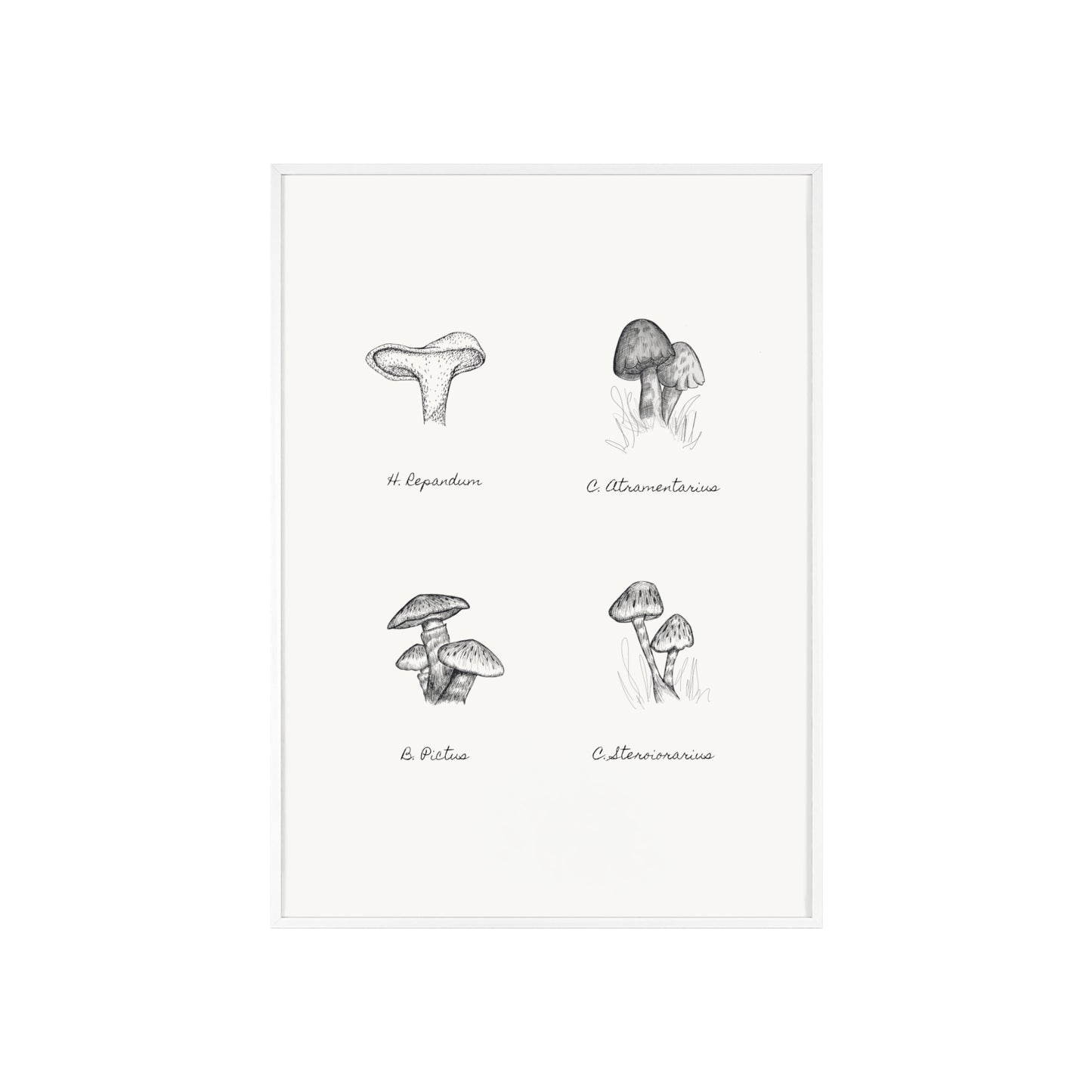 Mushroom Medley Poster with Wooden Frame