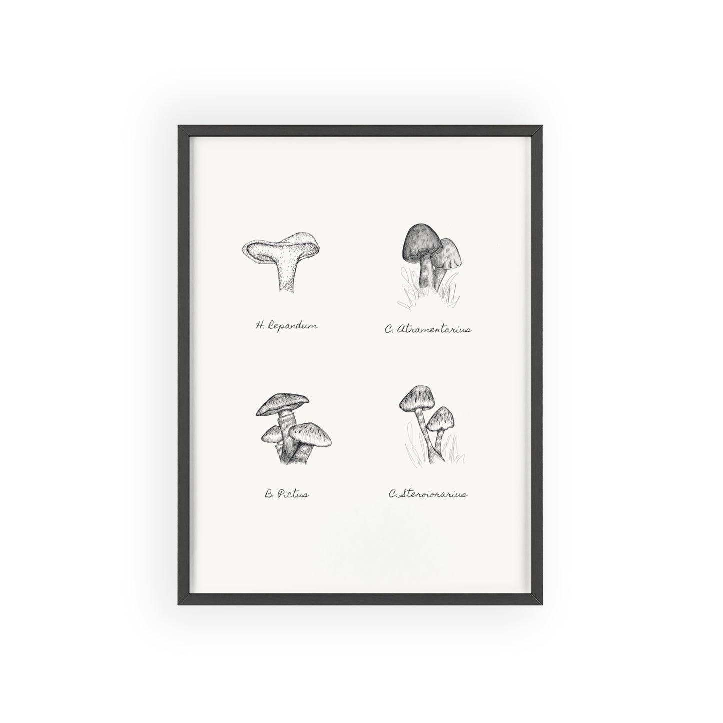 Mushroom Medley Poster with Wooden Frame