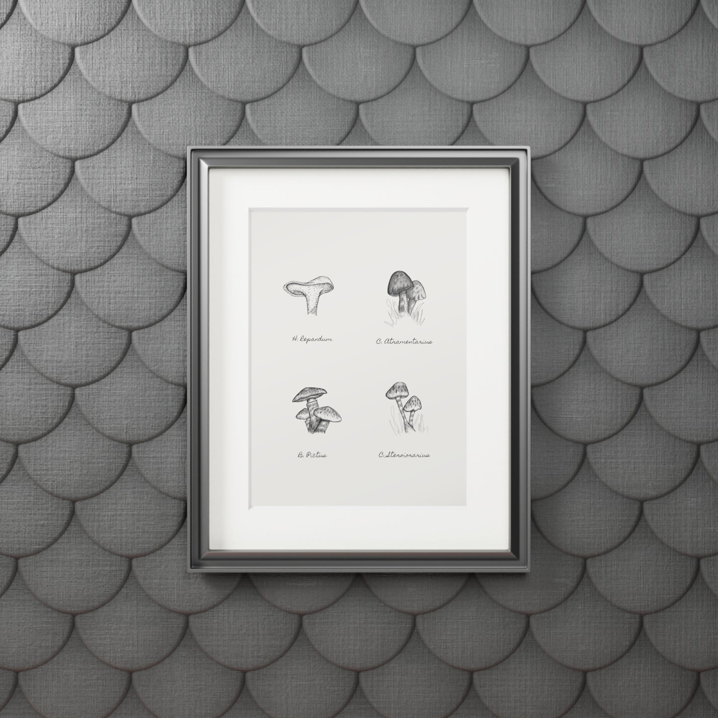 Mushroom Medley Fine Art Prints (Passepartout Paper Frame)