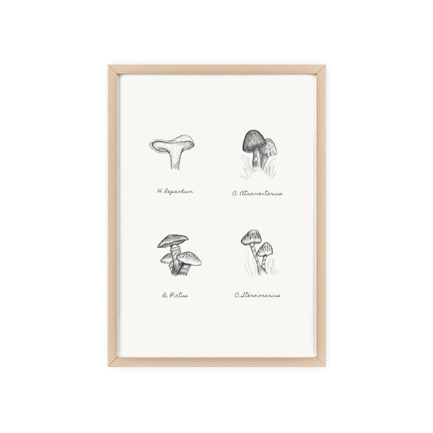 Mushroom Medley Poster with Wooden Frame