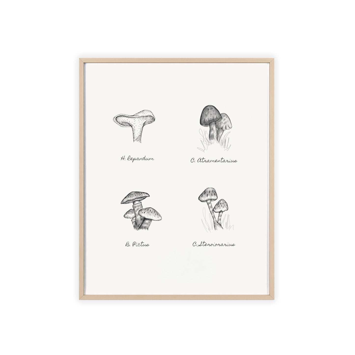 Mushroom Medley Poster with Wooden Frame