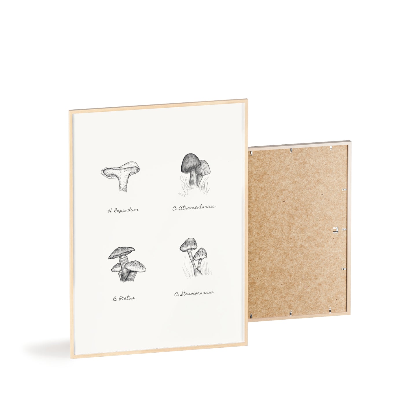 Mushroom Medley Poster with Wooden Frame