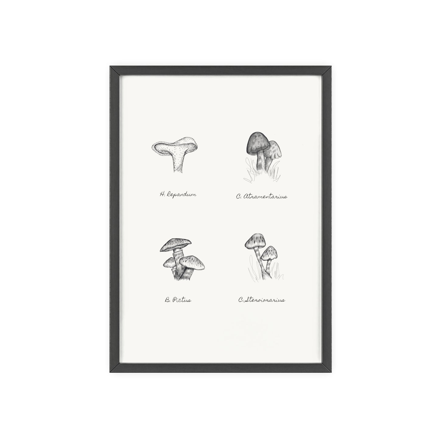 Mushroom Medley Poster with Wooden Frame