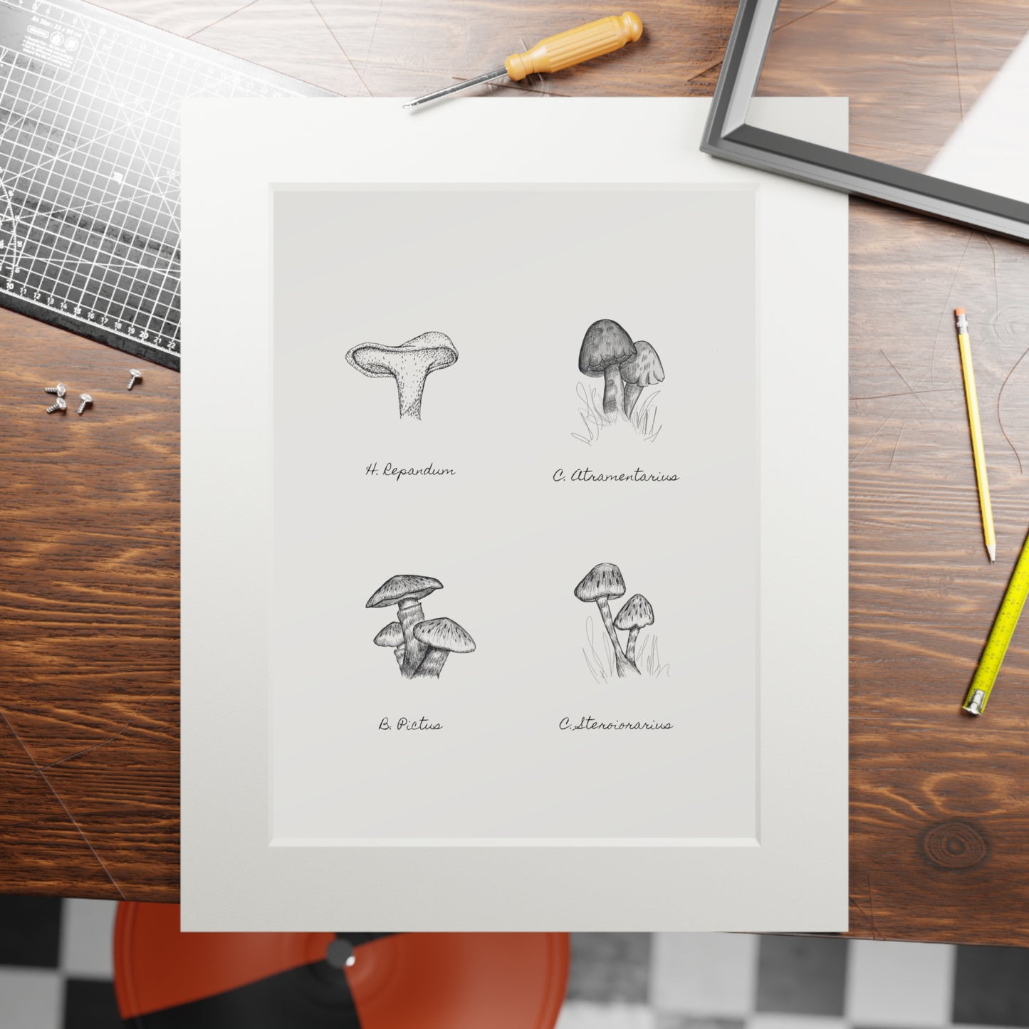 Mushroom Medley Fine Art Prints (Passepartout Paper Frame)