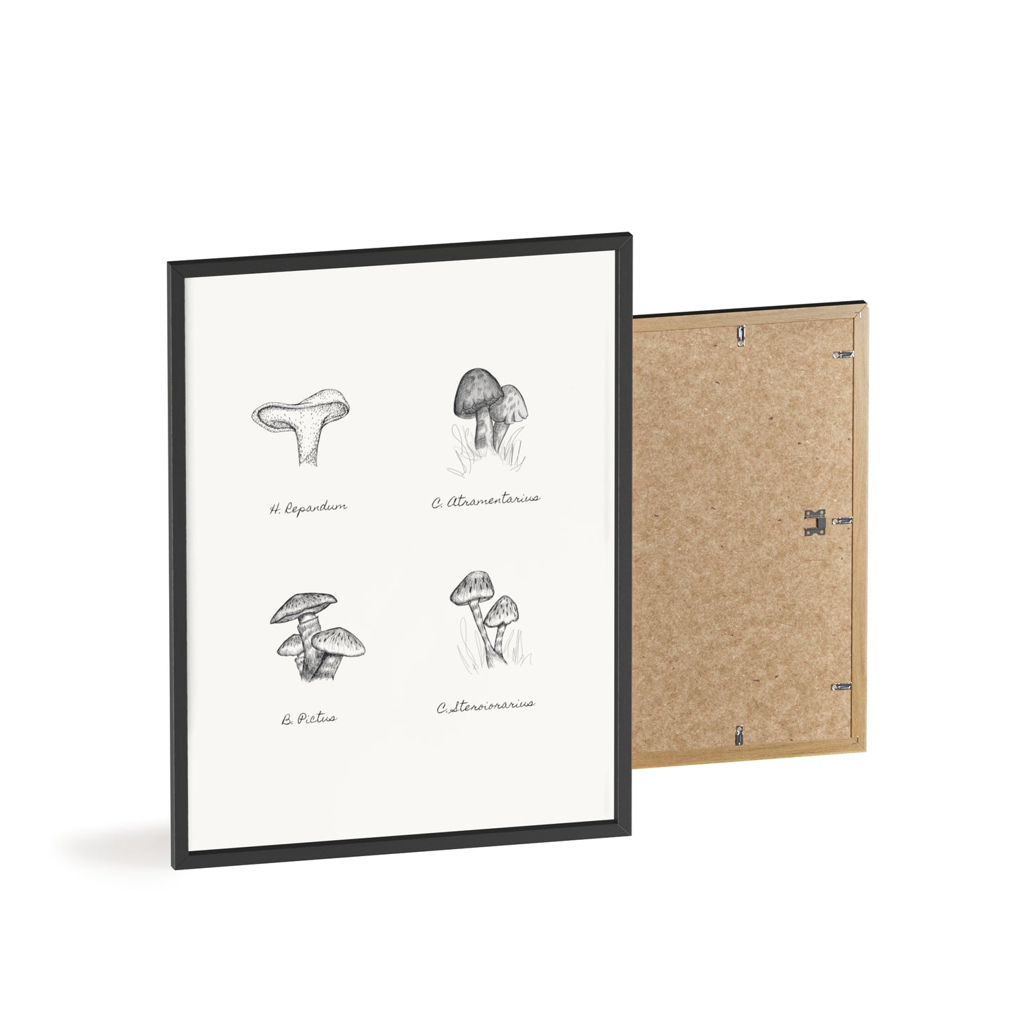 Mushroom Medley Poster with Wooden Frame