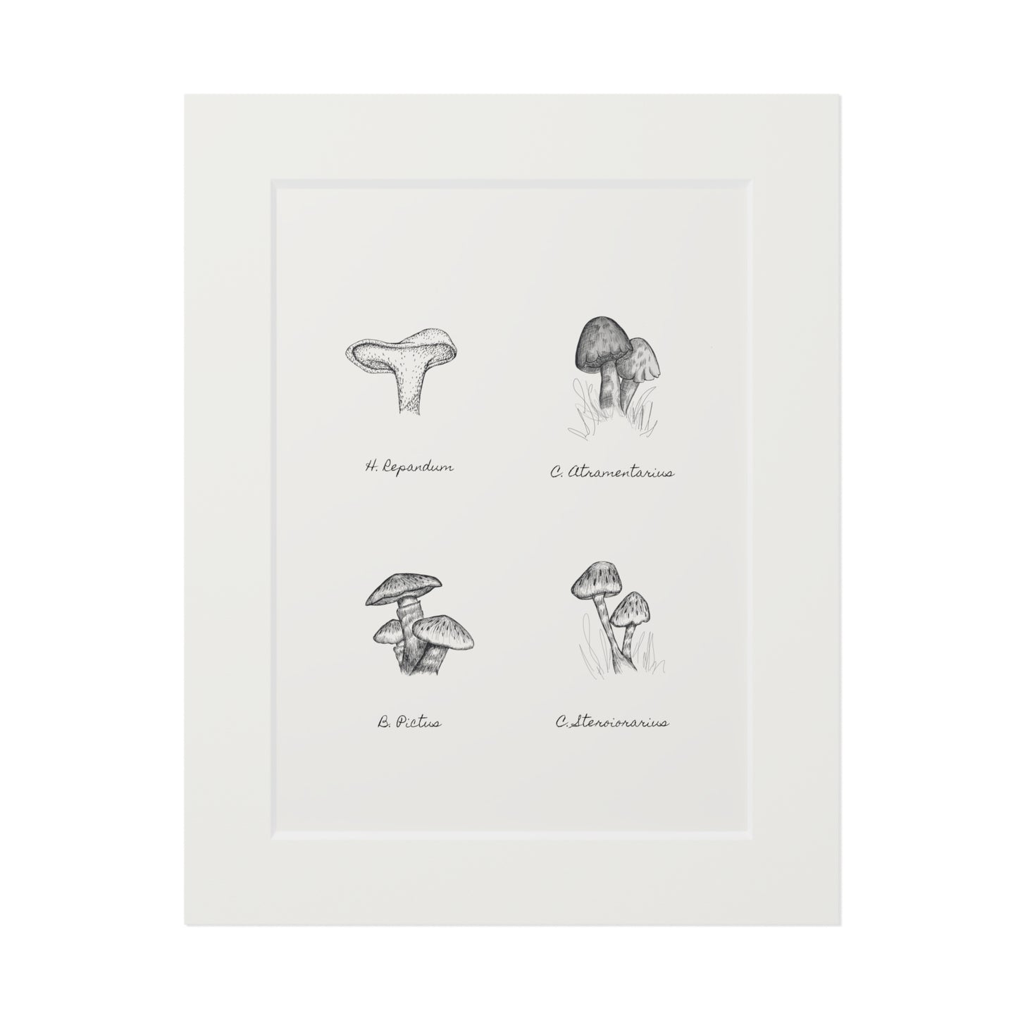 Mushroom Medley Fine Art Prints (Passepartout Paper Frame)