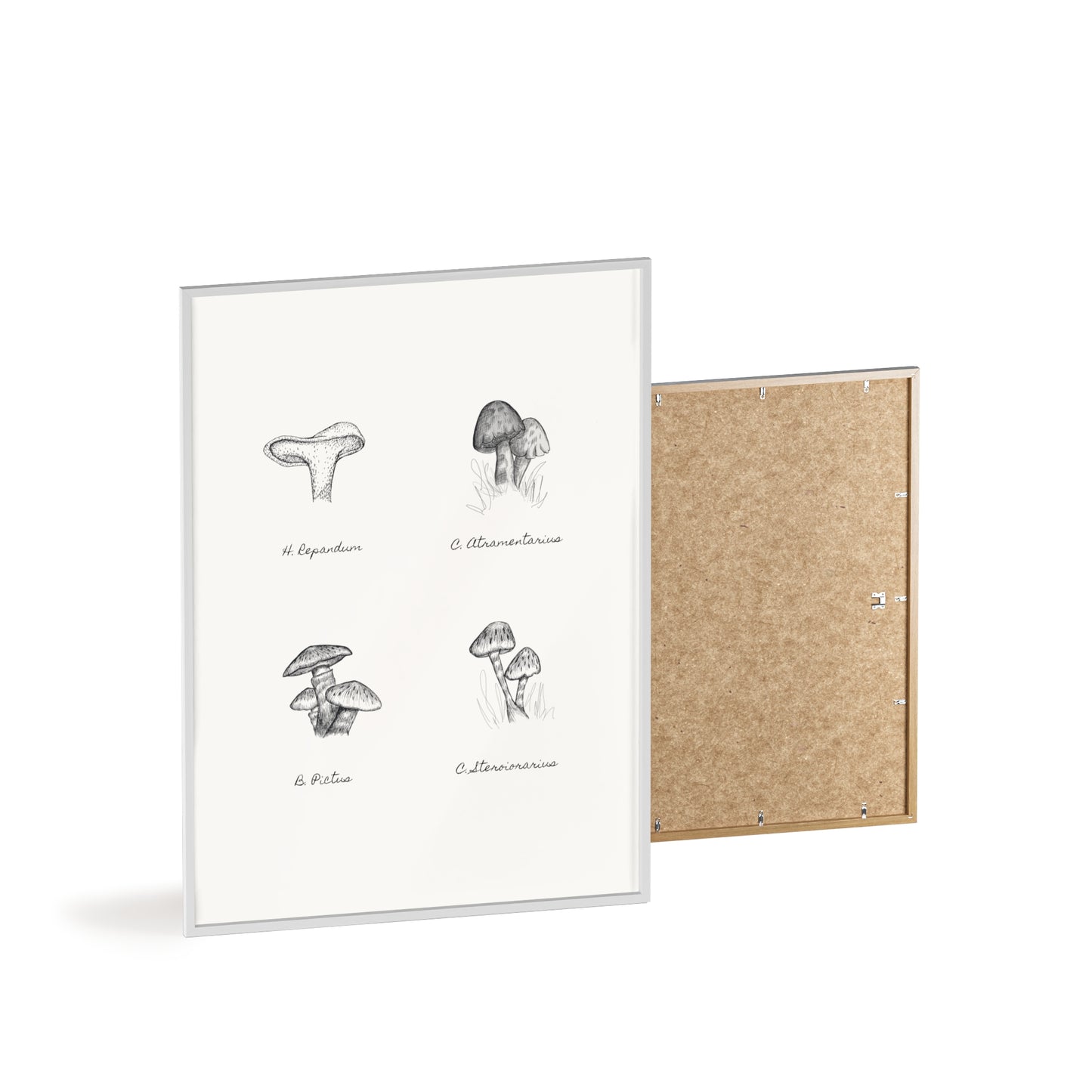 Mushroom Medley Poster with Wooden Frame