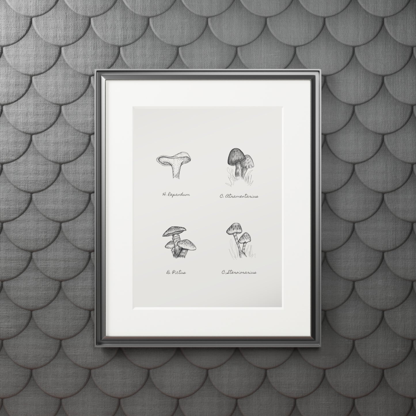 Mushroom Medley Fine Art Prints (Passepartout Paper Frame)