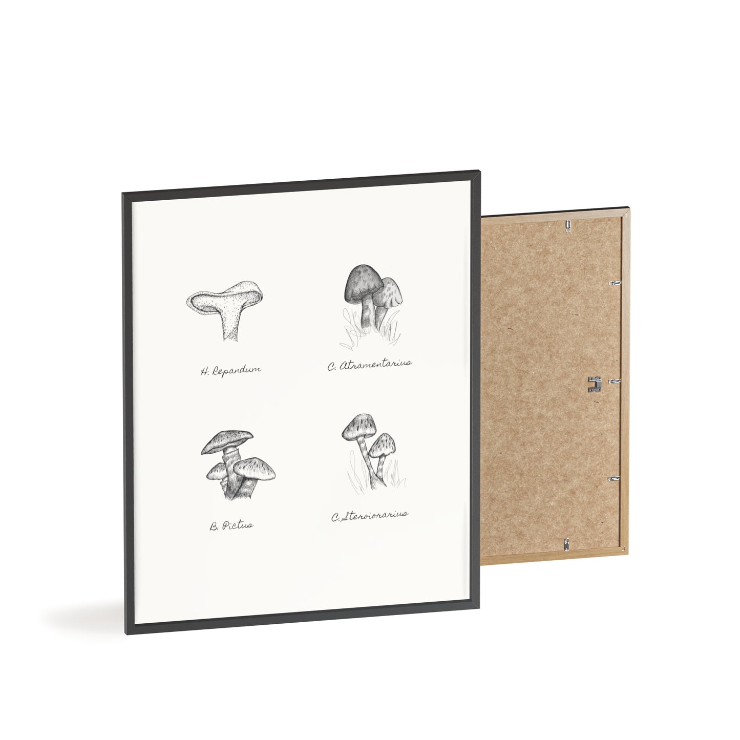 Mushroom Medley Poster with Wooden Frame