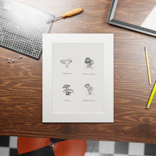 Mushroom Medley Fine Art Prints (Passepartout Paper Frame)