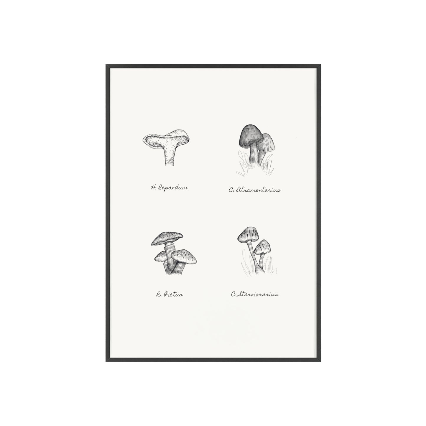 Mushroom Medley Poster with Wooden Frame