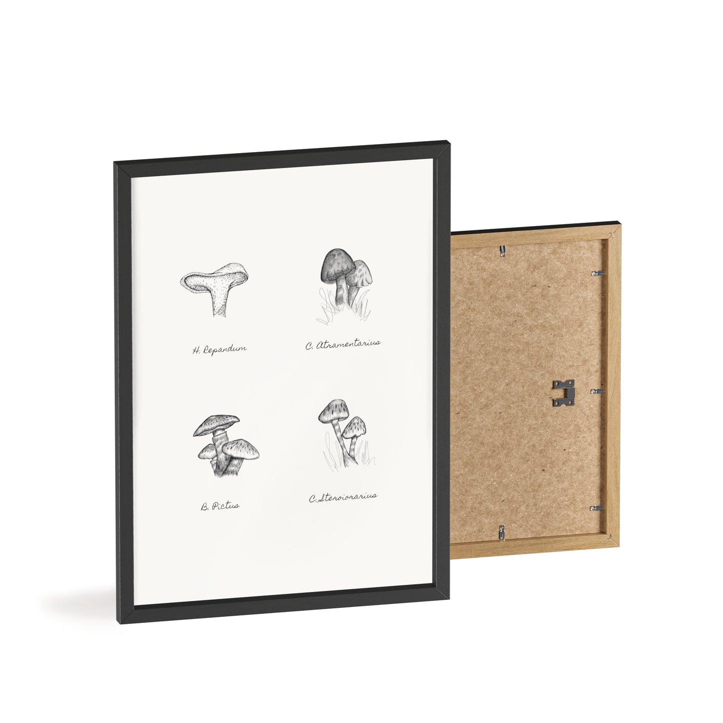 Mushroom Medley Poster with Wooden Frame