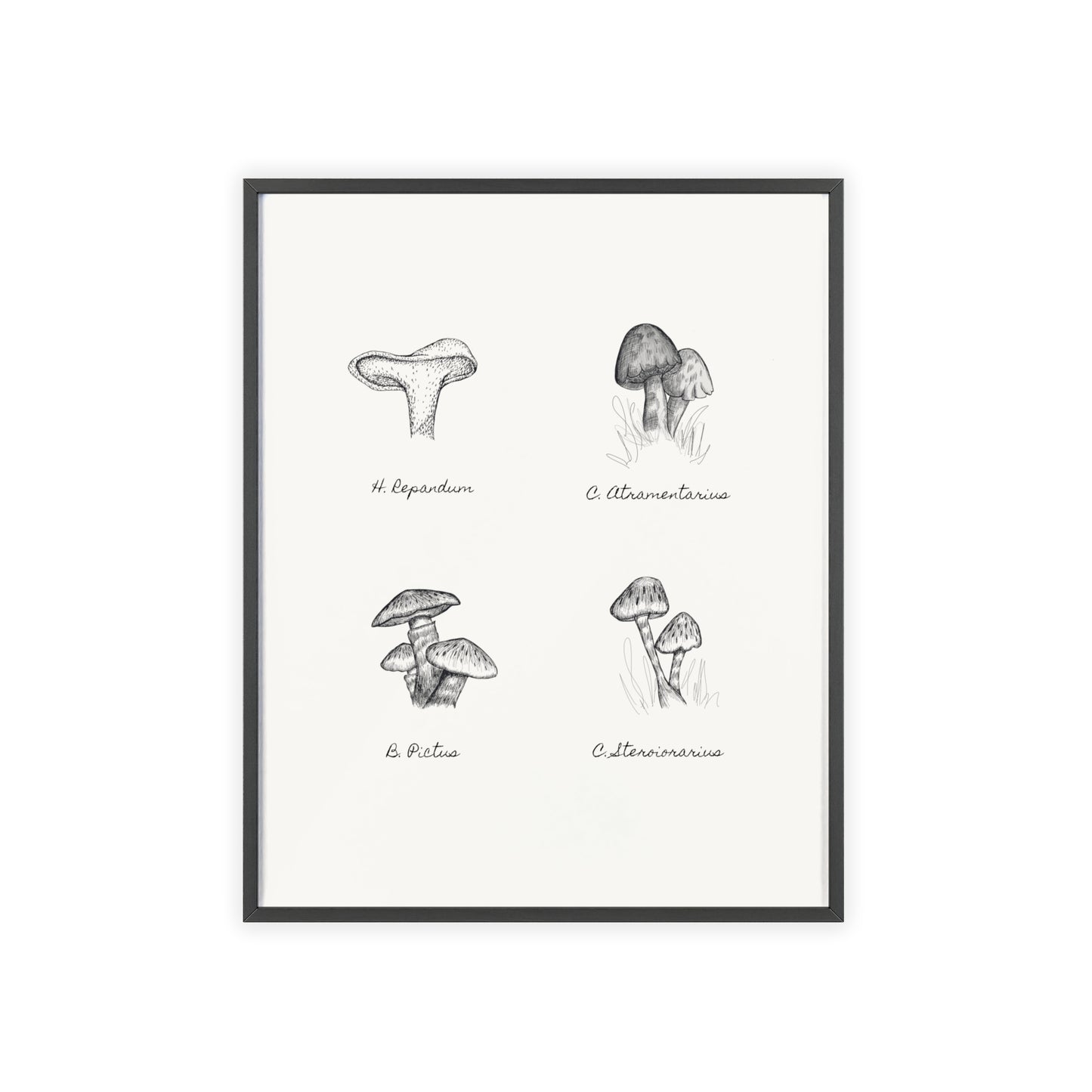 Mushroom Medley Poster with Wooden Frame